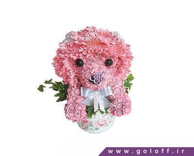 فروشگاه اینترنتی گل و گیاه - گل نوزاد پینک پاپی - Flower Toy | گل آف